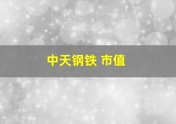 中天钢铁 市值